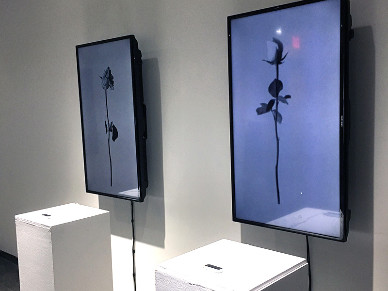 Leap Motion — 3D Gestural Control