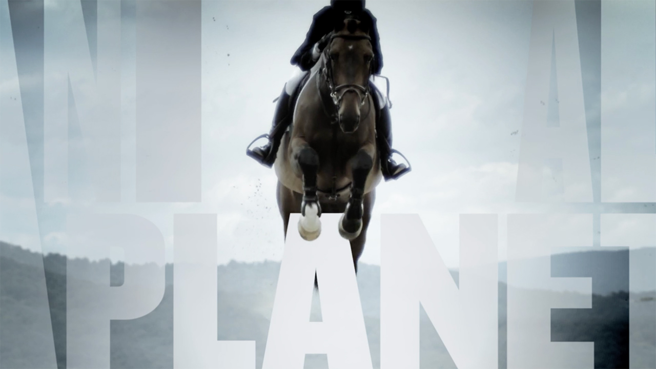 Animal Planet