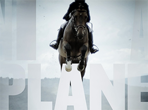 Animal Planet — Image Spot