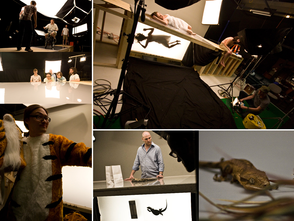 Behind the scenes — casting shadows with bodies, a tiger costume and a live gecko